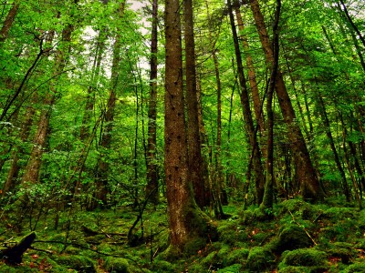南京有偿捐卵医院，附试管中心捐卵过程解析！