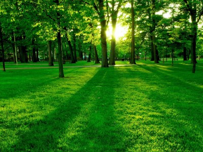 南京正规捐卵机构，正规机构捐卵榜单top5！