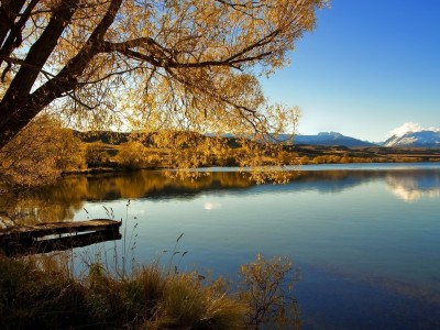 南京正规的捐卵机构在哪里，共10家医院最新排名参考！