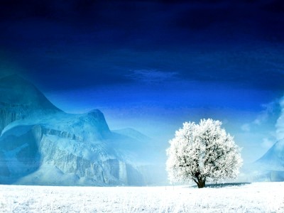 喝孕妇奶粉应注意的问题（喝孕妇奶粉注意事项）