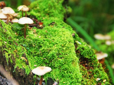 南京正规高薪捐卵机构，前10正规机构实力上榜名单！