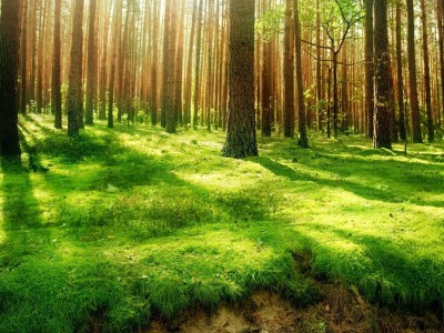 南京正规捐卵机构联系方式，附捐卵成功率高的3家医院推荐！