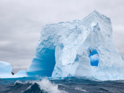 怀孕初期会不会对牛奶反胃（怀孕初期喝牛奶会恶心吗）