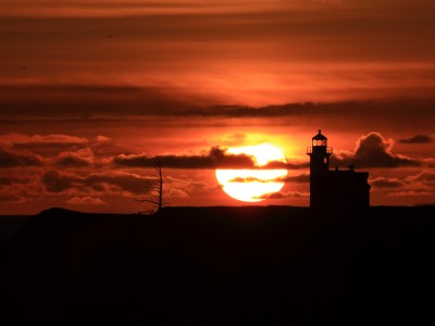 怀孕初期35天肚脐眼微微疼痛（怀孕35天肚子微微疼痛正常吗）