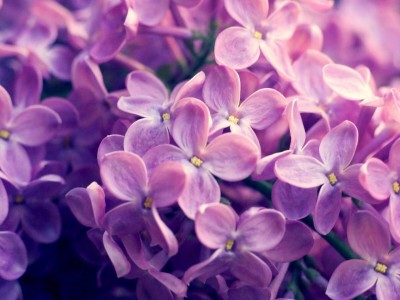 南京正规高薪捐卵机构，当地5家捐卵机构名单！