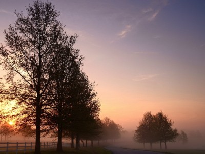 南京正规高薪捐卵机构，附捐卵机构大全一览表！