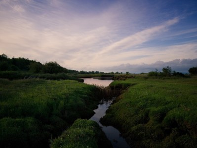 试管婴儿成功率是多少