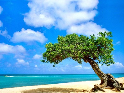 适合孕妇喝的进口奶粉有哪些（孕妇奶粉 进口）