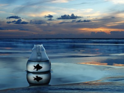 泰国试管婴儿的优势（泰国试管婴儿成功经验）