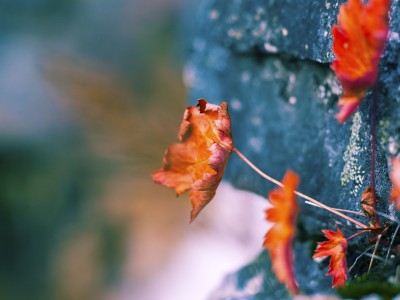 试管婴儿体检费用多少（试管婴儿体检之后的流程）