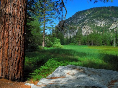 做试管婴儿到底花多少钱（做试管婴儿得花多少钱啊）