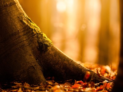 试管婴儿不好的方面（试管婴儿不行还有什么办法）