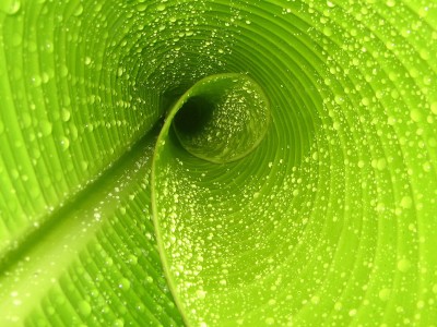 健康快乐的宝宝如何养成（怎么让宝宝健康快乐成长）