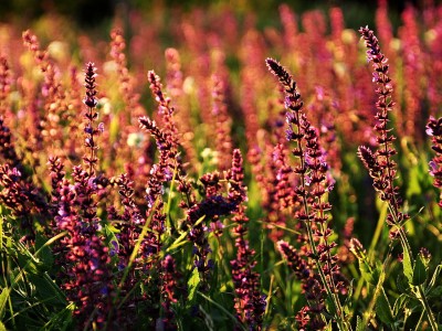 南京有偿捐卵医院，附南京借卵生子知识一览！