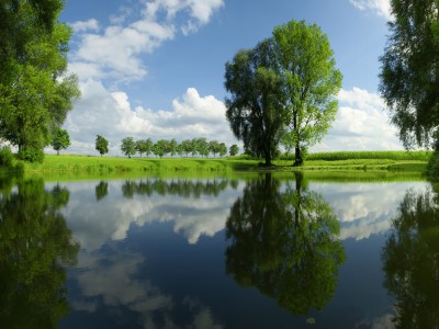 孕酮低的危害怀孕初期的症状（孕酮低会产生什么后果）
