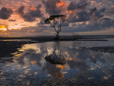 有乳腺增生的人的怀孕初期的症状（有乳腺增生的人怀孕初期会乳房痛吗）