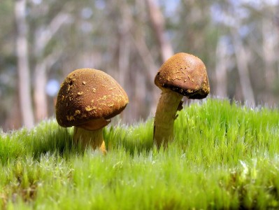 南京有偿捐卵医院，附申请捐卵情况分析！