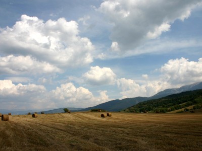 南京正规捐卵机构联系方式，2024捐卵代怀生子机构一览！