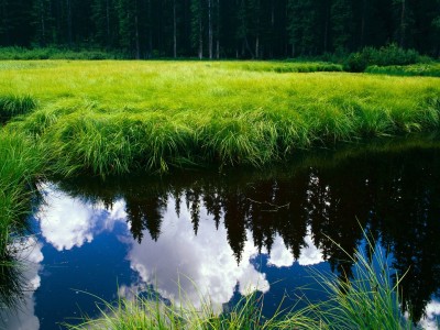 怀孕初期如何卸掉指甲油（怀孕了怎么卸指甲）